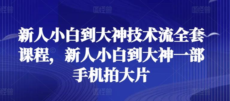 新人小白到大神技术流全套课程，新人小白到大神一部手机拍大片-副业网创