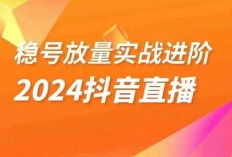 稳号放量实战进阶—2024抖音直播，直播间精细化运营的几大步骤-副业网创