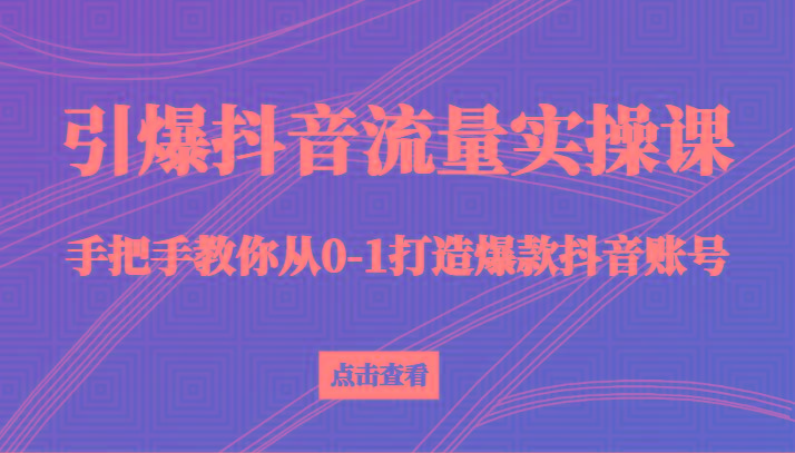 引爆抖音流量实操课，手把手教你从0-1打造爆款抖音账号(27节课)-副业网创