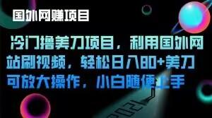 冷门撸美刀项目，利用国外网站刷视频，轻松日入80+美刀，可放大操作，小白随便上手-副业网创