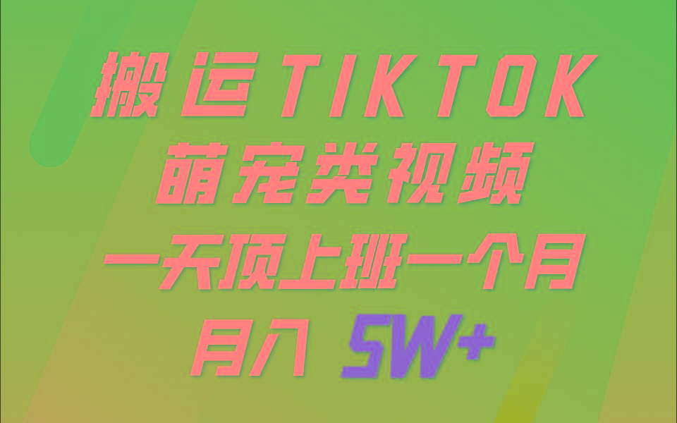 一键搬运TIKTOK萌宠类视频，一部手机即可操作，所有平台均可发布 轻松月入5W+-副业网创