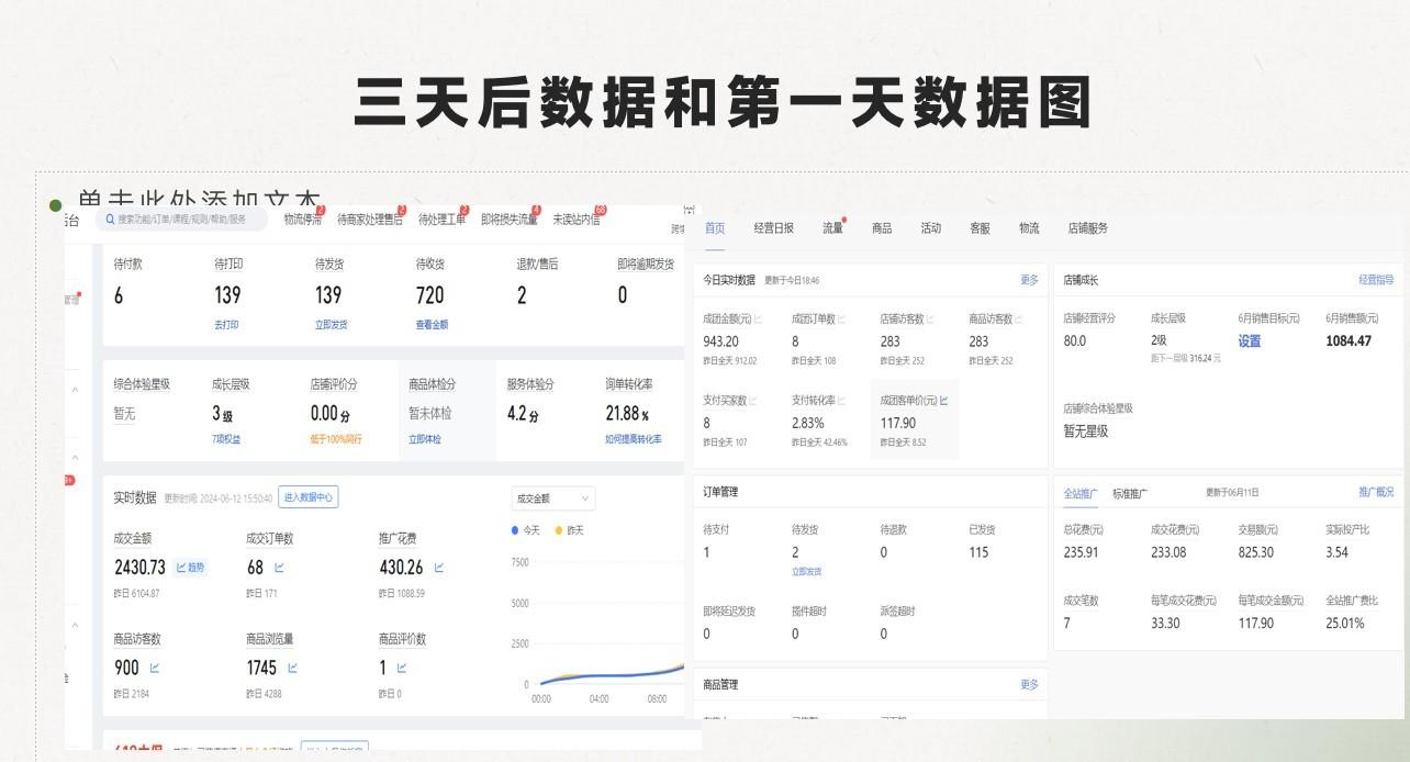 图片[3]-最新拼多多模式日入4K+两天销量过百单，无学费、老运营代操作、小白福利-副业网创