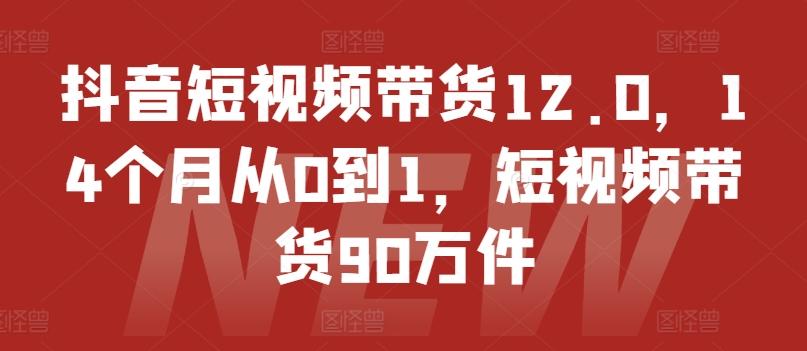 抖音短视频带货12.0，14个月从0到1，短视频带货90万件-副业网创