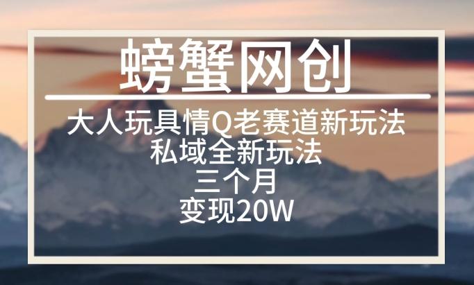 大人玩具情Q用品赛道私域全新玩法，三个月变现20W，老项目新思路【揭秘】-副业网创