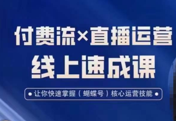 视频号付费流实操课程，付费流✖️直播运营速成课，让你快速掌握视频号核心运营技能-副业网创