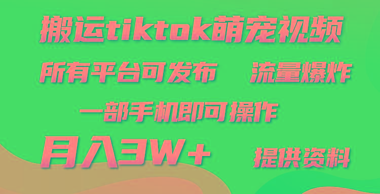 (9618期)搬运Tiktok萌宠类视频，一部手机即可。所有短视频平台均可操作，月入3W+-副业网创