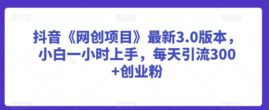 抖音《网创项目》最新3.0版本，小白一小时上手，每天引流300+创业粉【揭秘】-副业网创