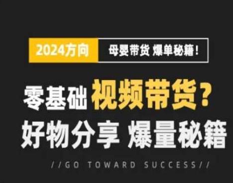 短视频母婴赛道实操流量训练营，零基础视频带货，好物分享，爆量秘籍-副业网创