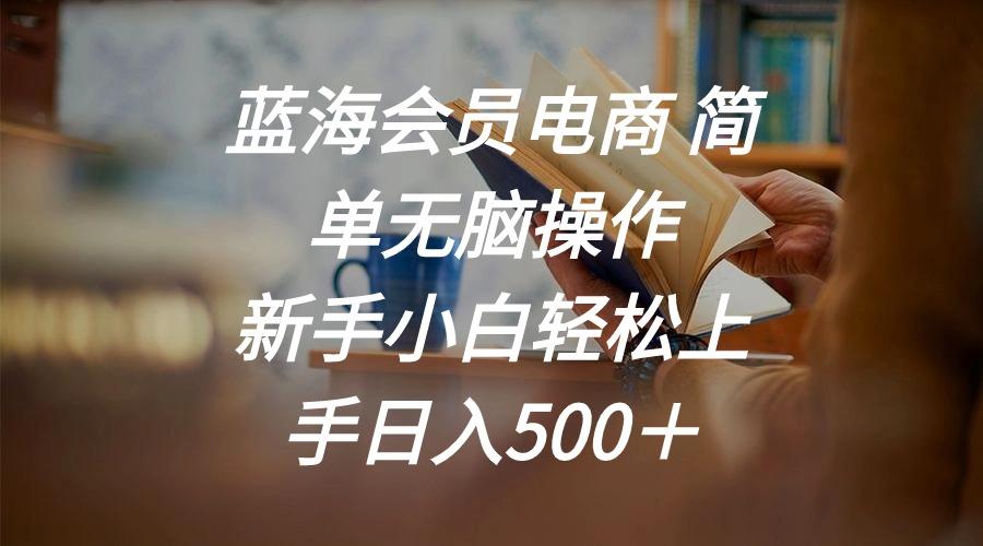 蓝海会员电商 简单无脑操作 新手小白轻松上手日入500＋-副业网创