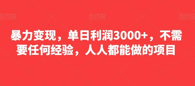 暴力变现，单日利润3000+，不需要任何经验，人人都能做的项目-副业网创