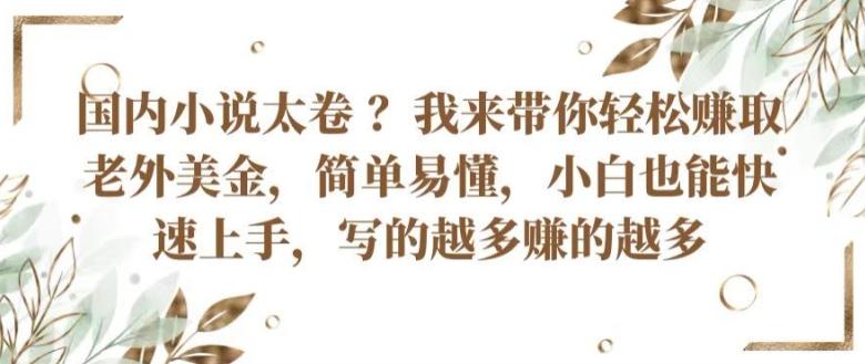 国内小说太卷 ?带你轻松赚取老外美金，简单易懂，小白也能快速上手，写的越多赚的越多【揭秘】-副业网创
