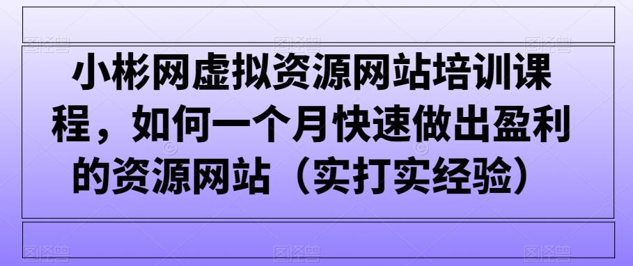 小彬网虚拟资源网站培训课程，如何一个月快速做出盈利的资源网站(实打实经验)-副业网创