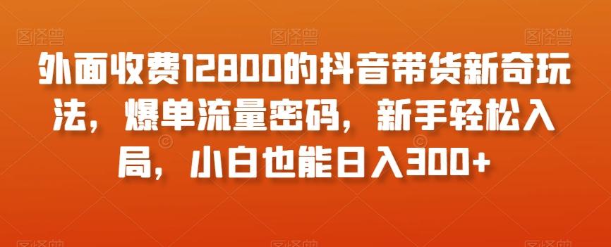 外面收费12800的抖音带货新奇玩法，爆单流量密码，新手轻松入局，小白也能日入300+【揭秘】-副业网创