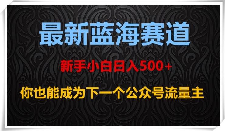 最新蓝海赛道，新手小白日入500+，你也能成为下一个公众号流量主【揭秘】-副业网创
