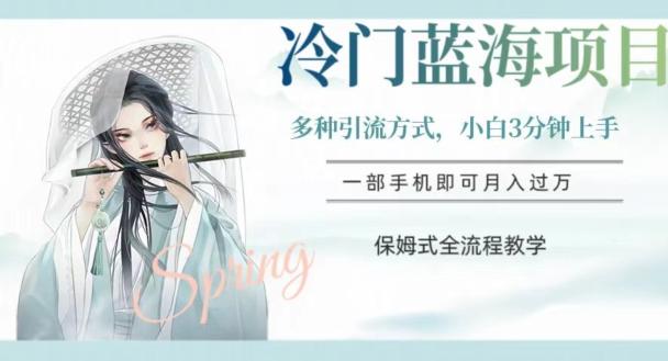 冷门蓝海项目，操作简单，小白3分钟上手，多种引流方式，保姆式全流程教学【揭秘】-副业网创