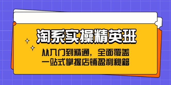 淘系实操精英班：从入门到精通，全面覆盖，一站式掌握店铺盈利秘籍-副业网创