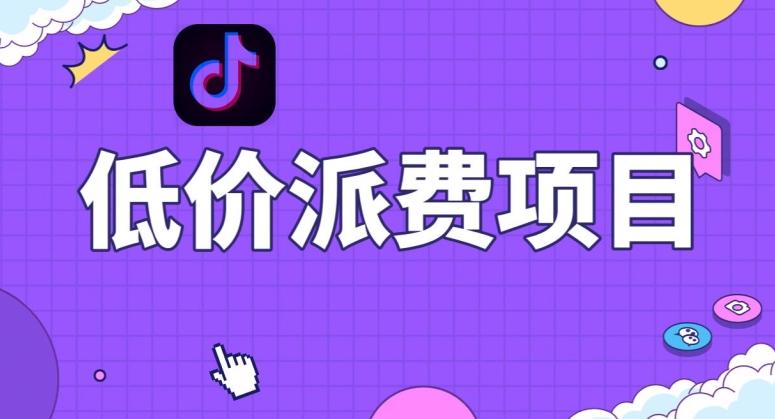 抖音低价派单项目，0门槛，日入1000+很轻松，小白可操作【揭秘】-副业网创