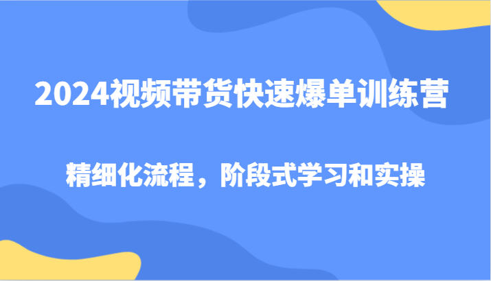 2024视频带货快速爆单训练营，精细化流程，阶段式学习和实操-副业网创