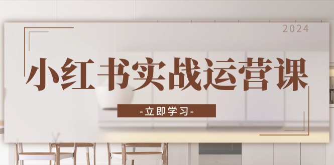 小红书实战运营课：从开通店铺到直播话术，打造爆款笔记与高效直播-副业网创