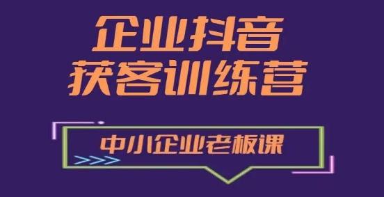 企业抖音营销获客增长训练营，中小企业老板必修课-副业网创