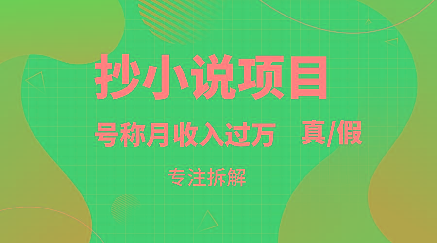 抄小说项目，号称月入过万，到底是否真实，能不能做，详细拆解-副业网创