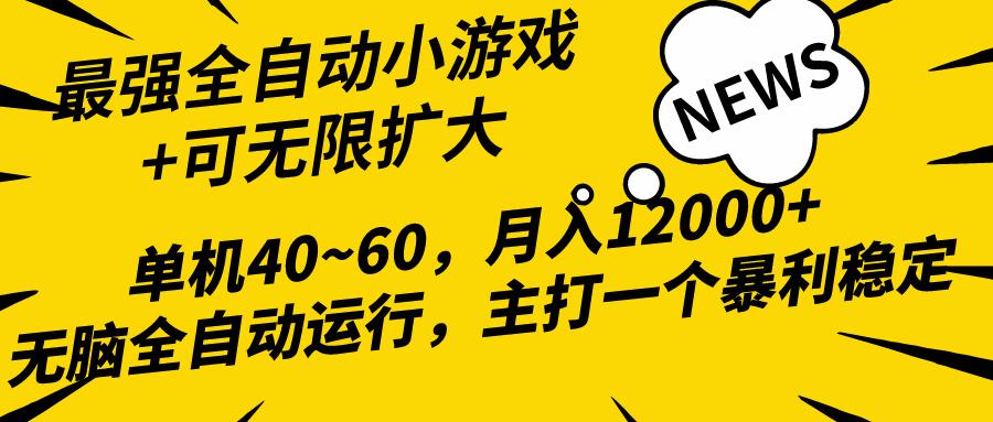 (10046期)2024最新全网独家小游戏全自动，单机40~60,稳定躺赚，小白都能月入过万-副业网创