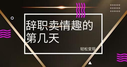 冷门赛道，辞职卖情趣的第几天，超暴力项目-副业网创