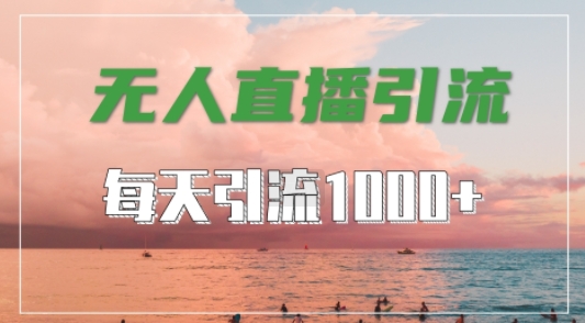 抖音快手视频号全平台通用，无人直播引流法，超暴力引流1000+高质量精准创业粉【揭秘】-副业网创