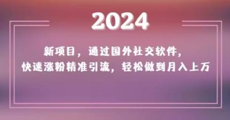 2024新项目，通过国外社交软件，快速涨粉精准引流，轻松做到月入上万【揭秘】-副业网创