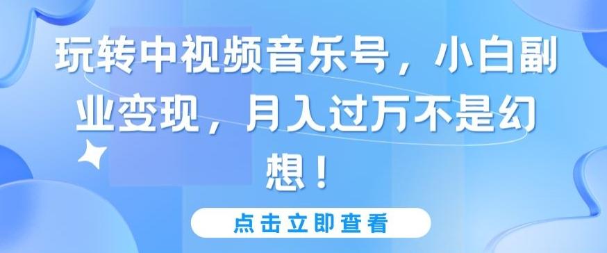 玩转中视频音乐号，小白副业变现，月入过万不是幻想【揭秘】-副业网创
