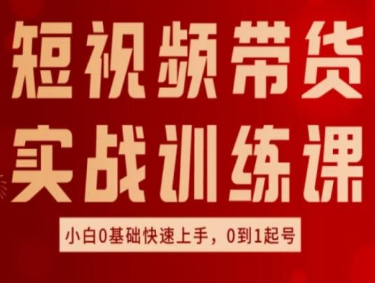 短视频带货实战训练课，好物分享实操，小白0基础快速上手，0到1起号-副业网创