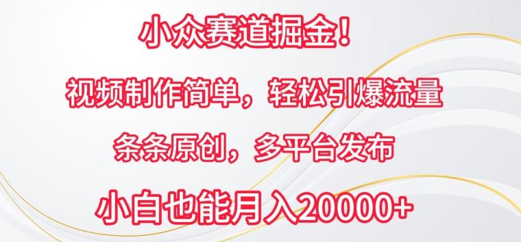 小众赛道掘金，视频制作简单，轻松引爆流量，条条原创，多平台发布【揭秘】-副业网创