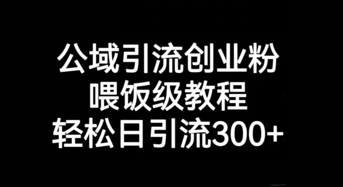 公域引流创业粉，喂饭级教程，轻松日引流300+【揭秘】-副业网创