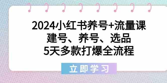 2024小红书养号+流量课：建号、养号、选品，5天多款打爆全流程-副业网创