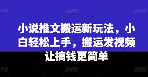 小说推文搬运新玩法，小白轻松上手，搬运发视频让搞钱更简单-副业网创