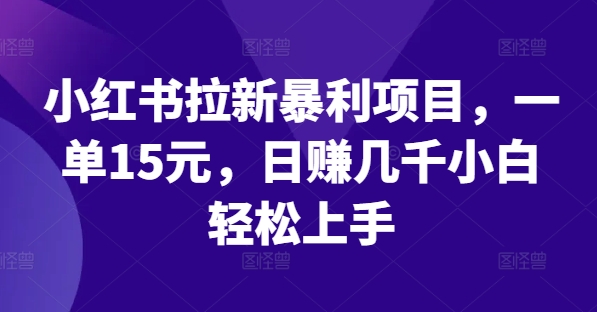 小红书拉新暴利项目，一单15元，日赚几千小白轻松上手【揭秘】-副业网创