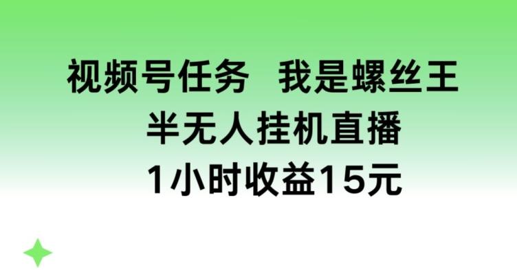 视频号任务，我是螺丝王， 半无人挂机1小时收益15元【揭秘】-副业网创