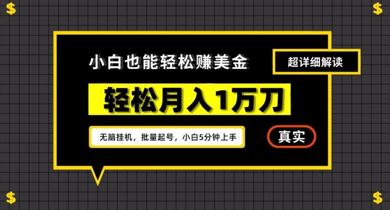 谷歌看广告撸美金2.0，无脑挂机，多号操作，月入1万刀【揭秘】-副业网创