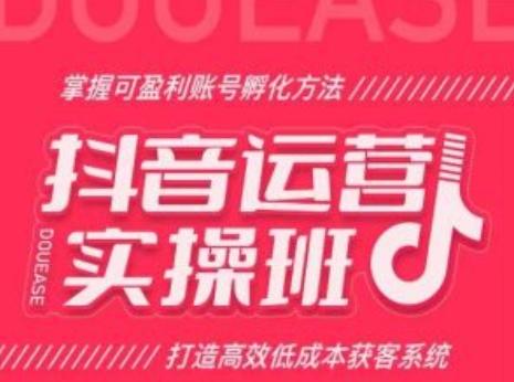 抖音运营实操班，掌握可盈利账号孵化方法，打造高效低成本获客系统-副业网创
