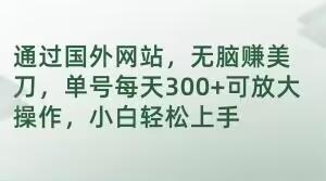 通过国外网站，无脑赚美刀，单号每天300+可放大操作，小白轻松上手【揭秘】-副业网创