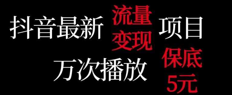 抖音流量变现，万次播放保底5元，额外收入-副业网创
