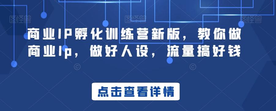 商业IP孵化训练营新版，教你做商业Ip，做好人设，流量搞好钱-副业网创