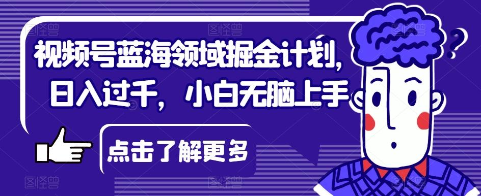 视频号蓝海领域掘金计划，日入过千，小白无脑上手【揭秘】-副业网创