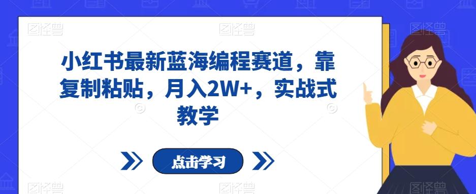 小红书最新蓝海编程赛道，靠复制粘贴，月入2W+，实战式教学【揭秘】-副业网创