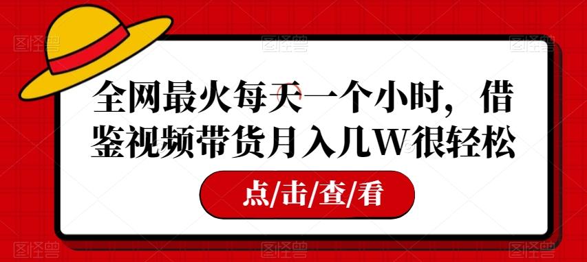 全网最火每天一个小时，借鉴视频带货月入几W很轻松【揭秘】-副业网创