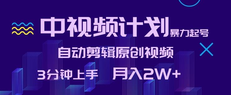 中视频计划暴力起号，自动剪辑原创视频，3分钟上手，月入2W+【揭秘】-副业网创