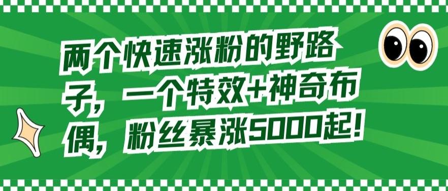 两个快速涨粉的野路子，一个特效+神奇布偶，粉丝暴涨5000起【揭秘】-副业网创