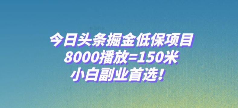 今日头条掘金低保项目，8000播放=150米，小白副业首选【揭秘】-副业网创