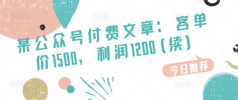 某公众号付费文章：客单价1500，利润1200(续)，市场几乎可以说是空白的-副业网创