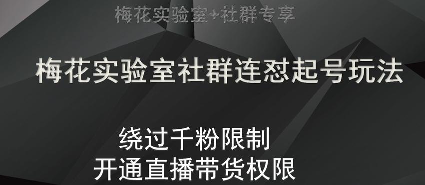 梅花实验室社群连怼起号玩法，视频号绕过千粉限制，开通直播带货权限【揭秘】-副业网创